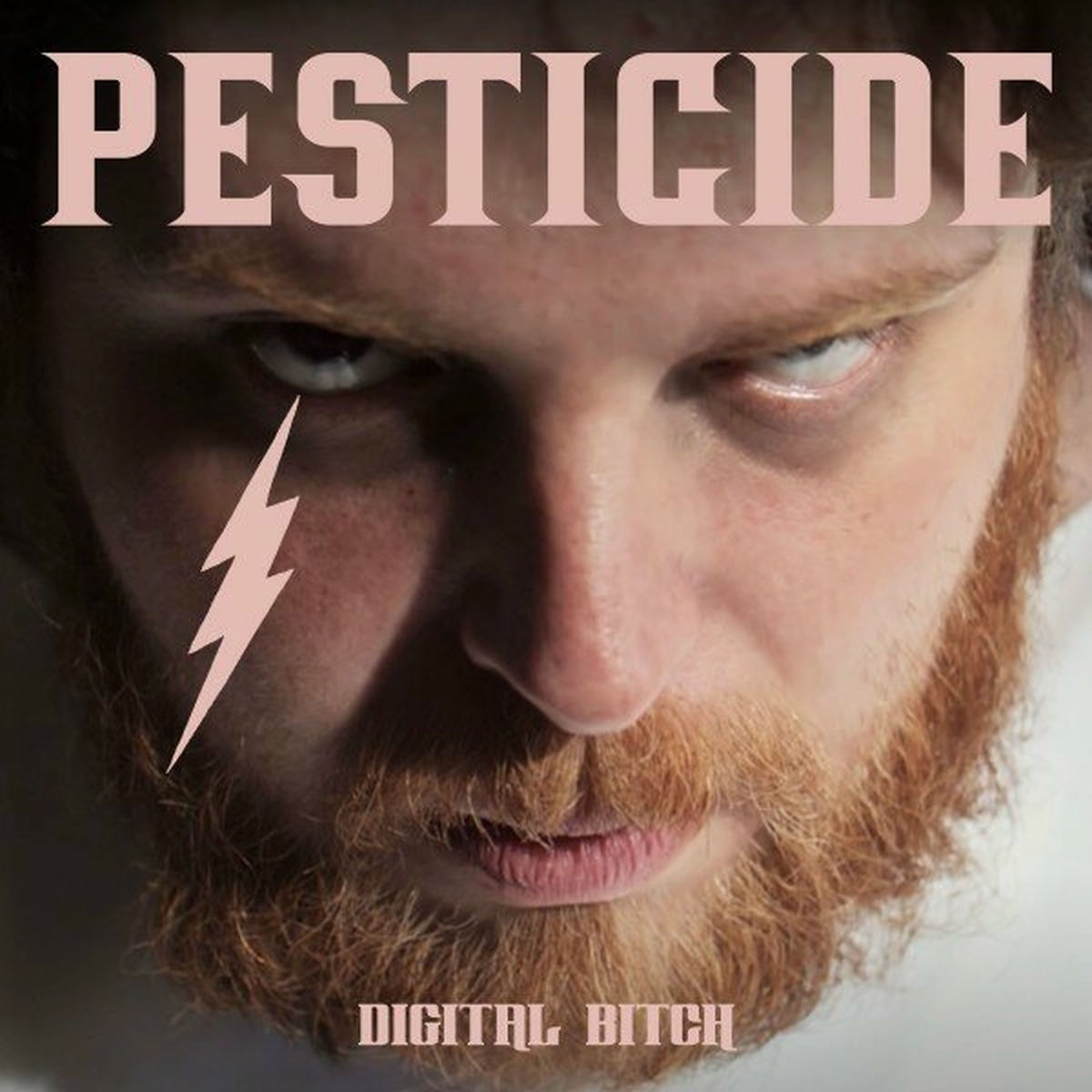 Album cover of Digital Bitch