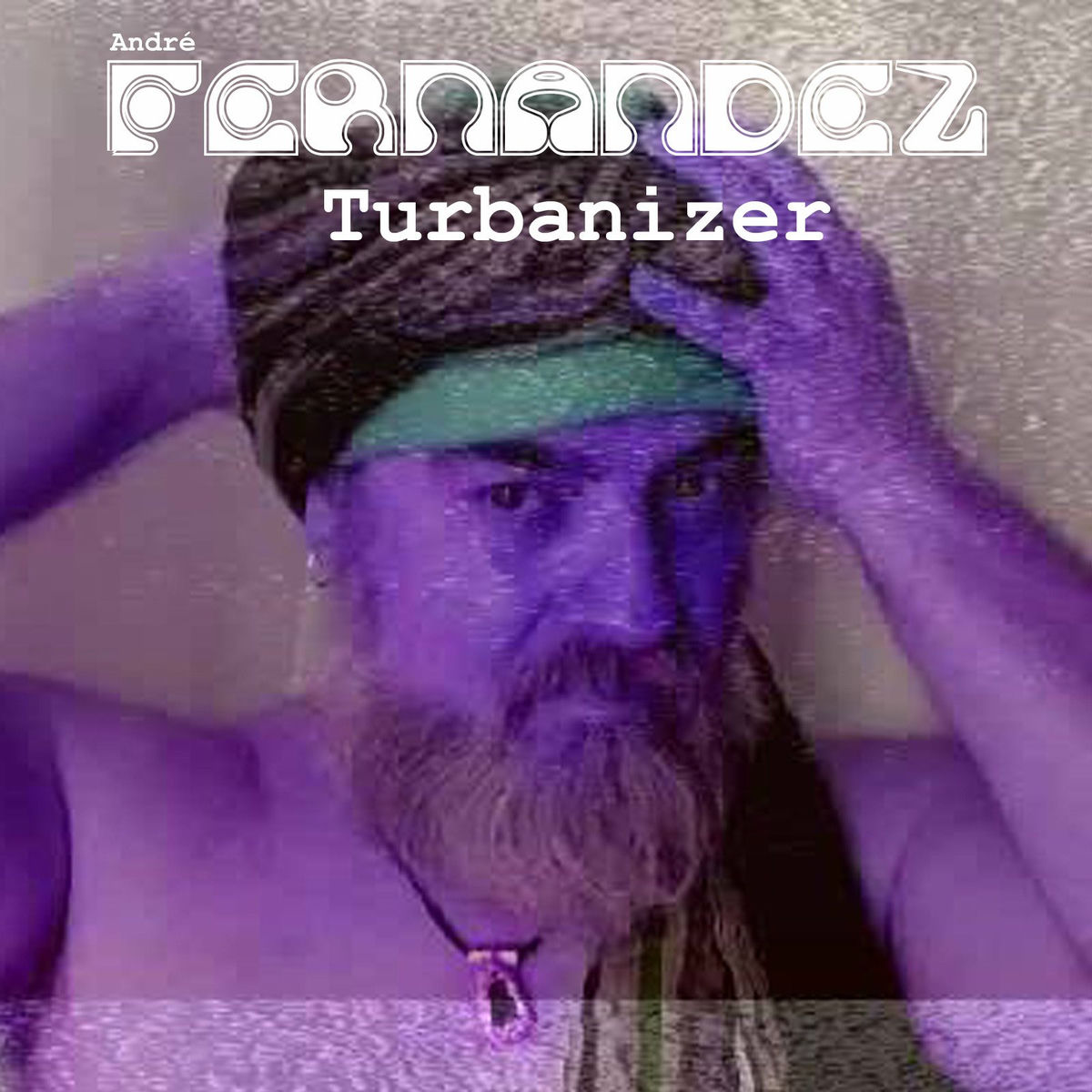 Album cover of Turbanizer
