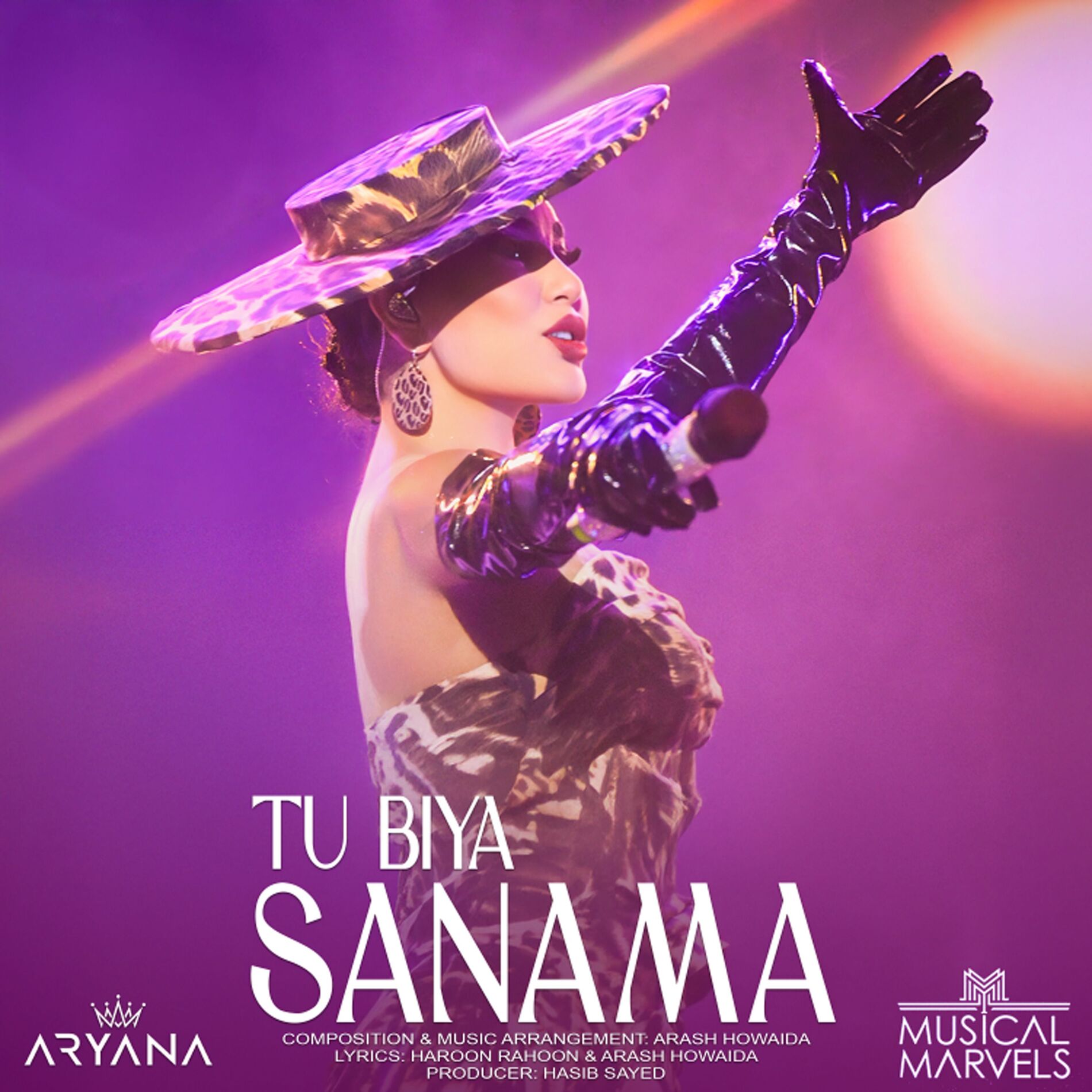 Album cover of Tu Biya Sanama