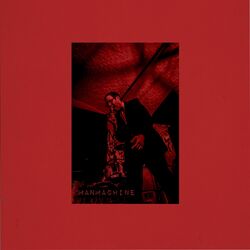 Cover of ManMachine