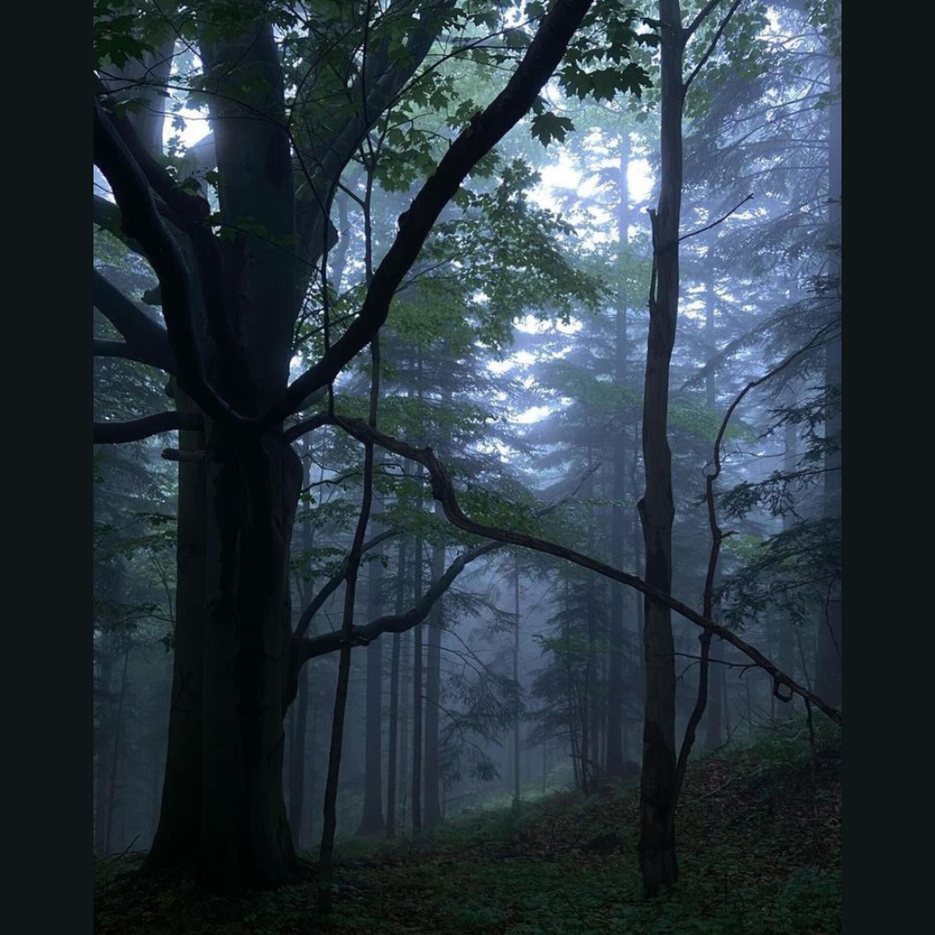 Album cover of Valley (feat. Ryan Jesse)