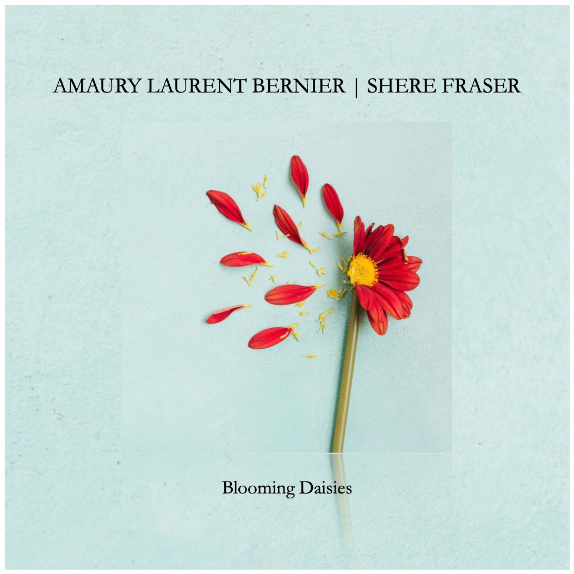 Album cover of Blooming Daisies