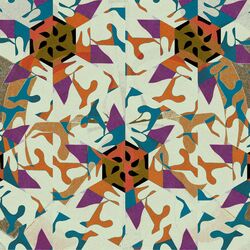 Cover of Nitra