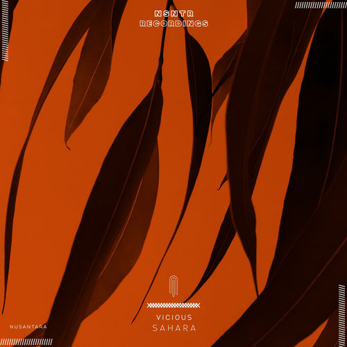 Sahara