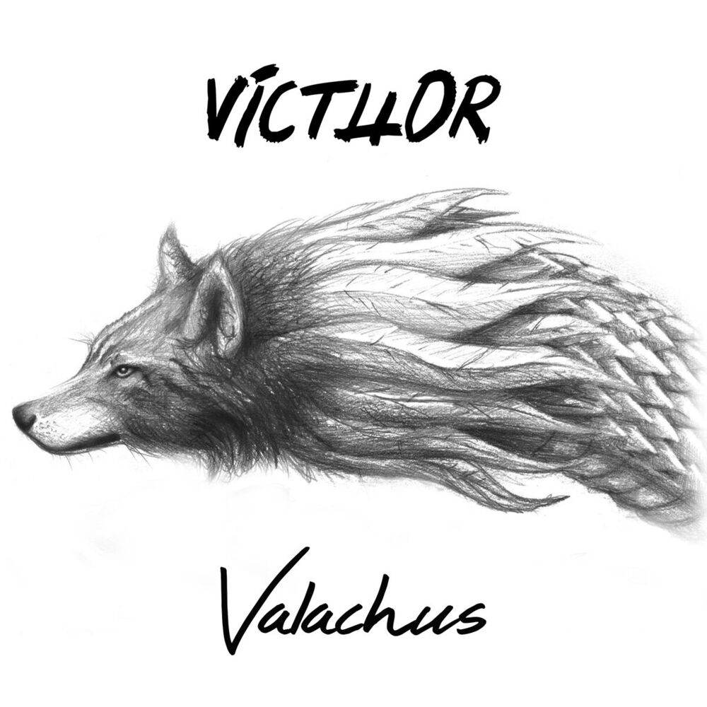 Picture of Valachus