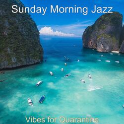 Cover of Vibes for Quarantine