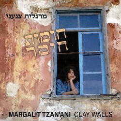 Cover of חומות חימר
