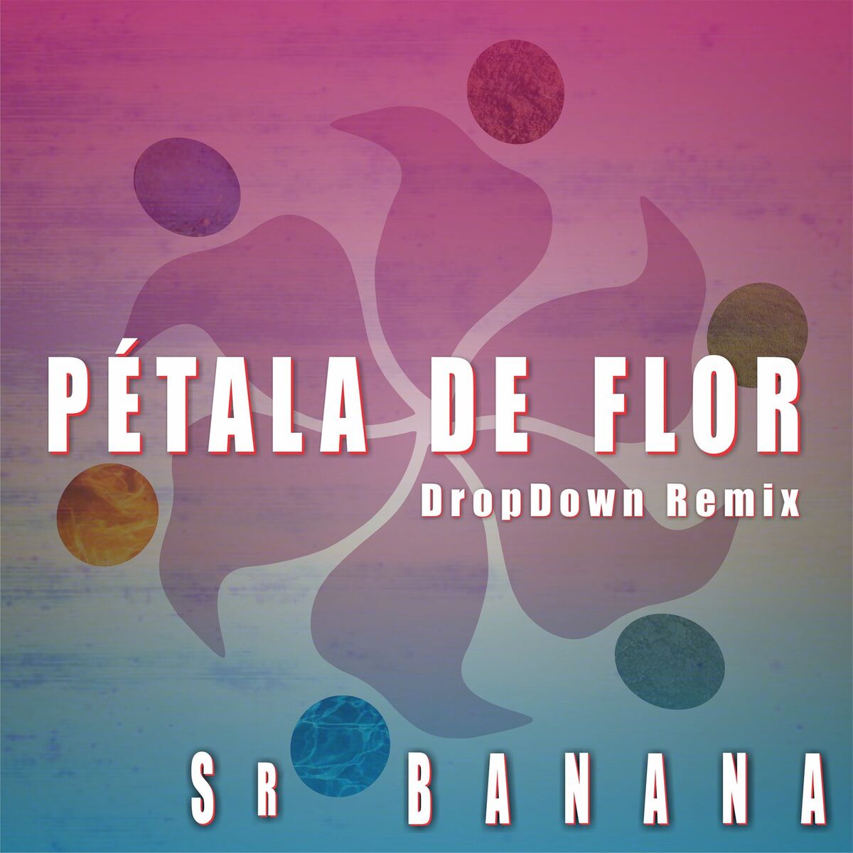 Album cover of Pétala de Flor