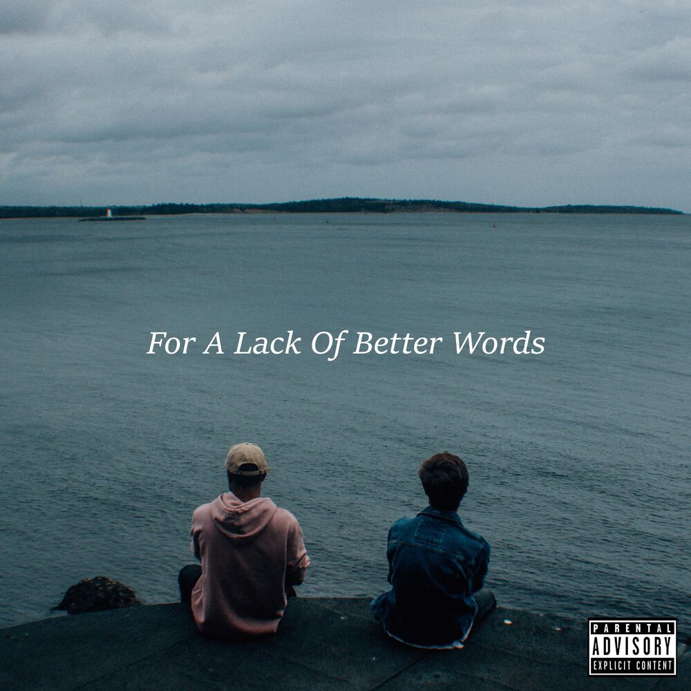Picture of For a Lack of Better Words