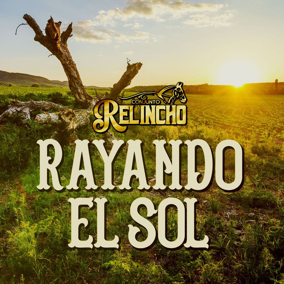 Album cover of Rayando el Sol