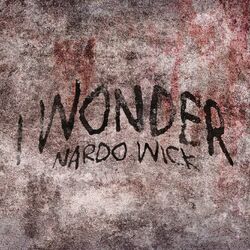 Cover of I Wonder