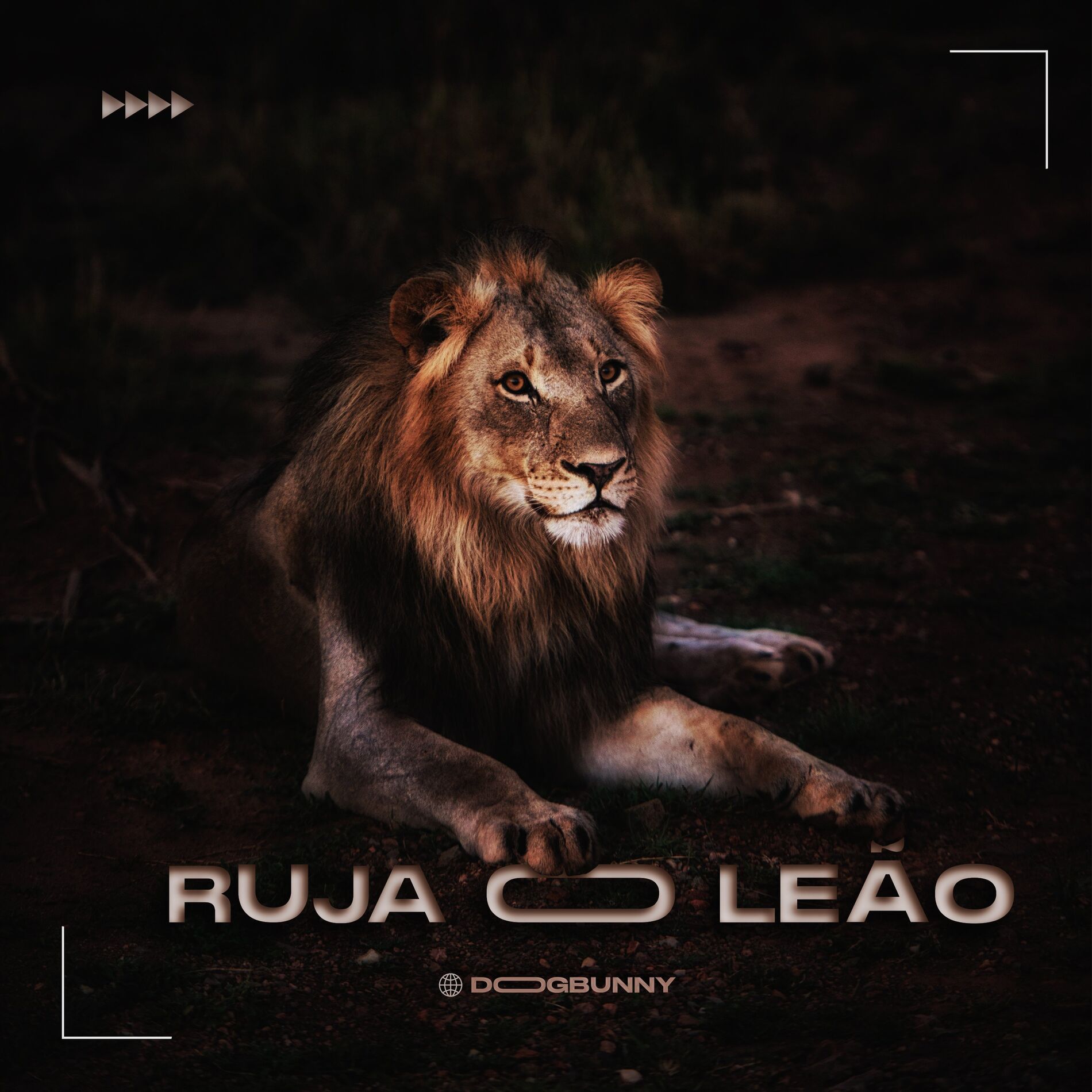 Album cover of Ruja o Leão