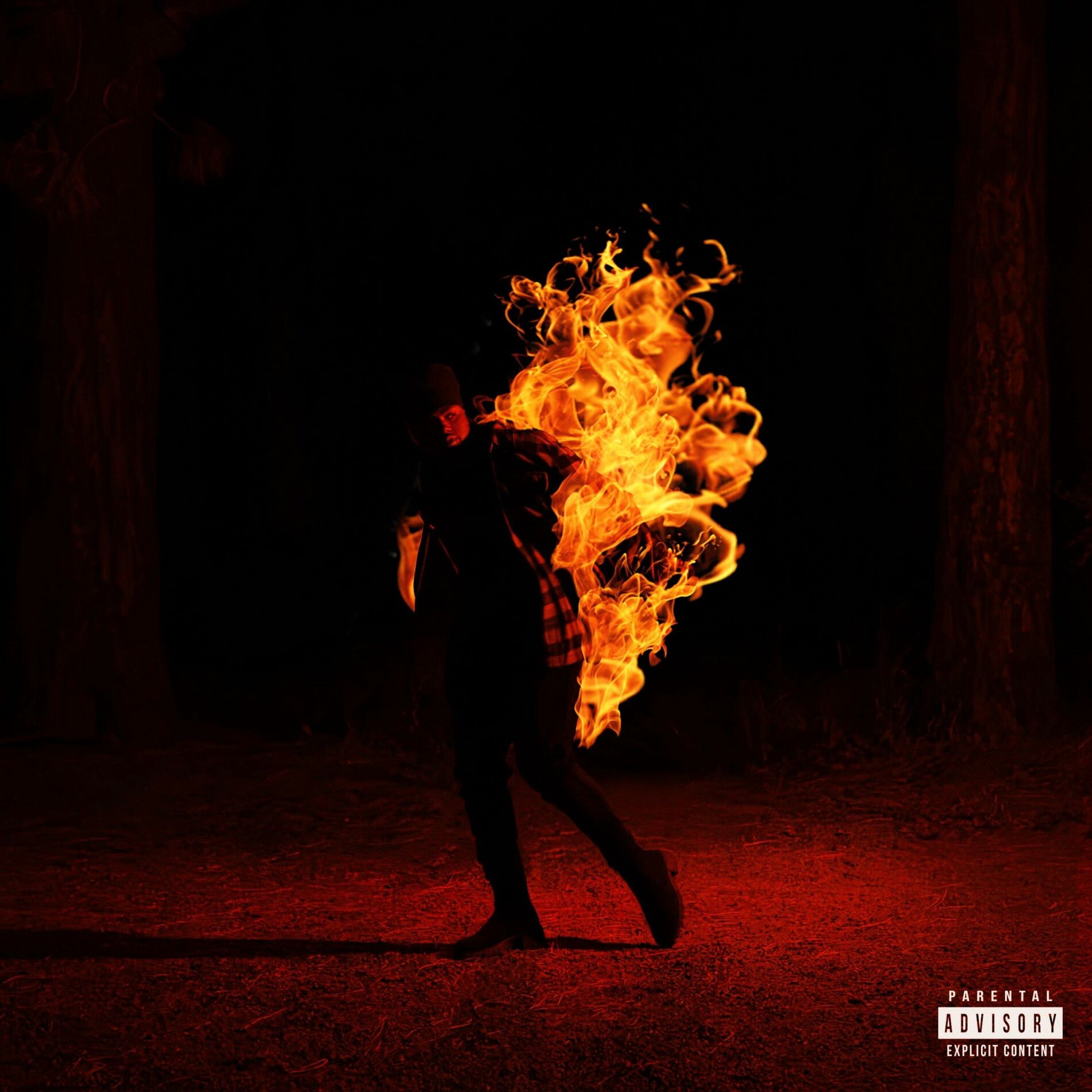 Album cover of LIFES CRAZY