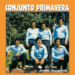 Cover of Almas Perdidas