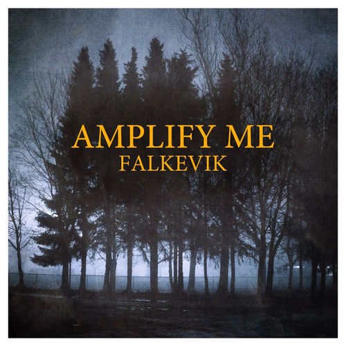 Amplify Me sleeve