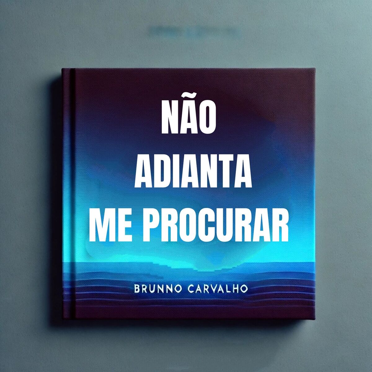 Album cover of Não adianta me procurar