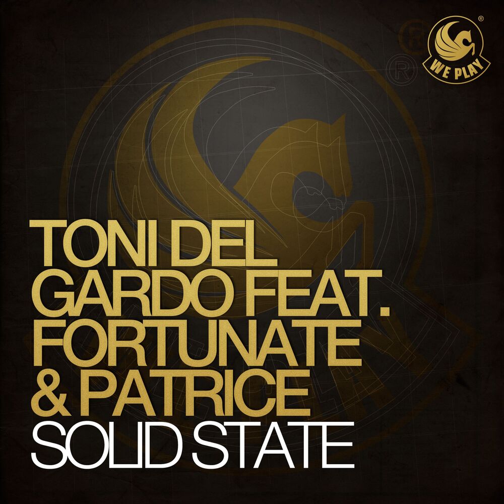 Picture of Solid State (feat. Fortunate & Patrice)