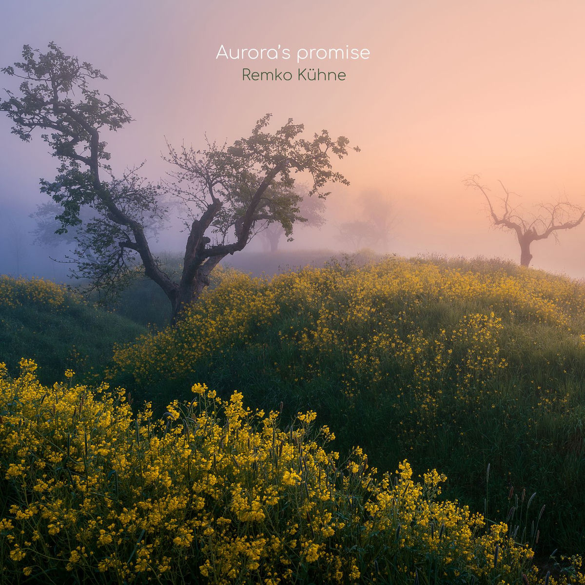 Album cover of Aurora's promise