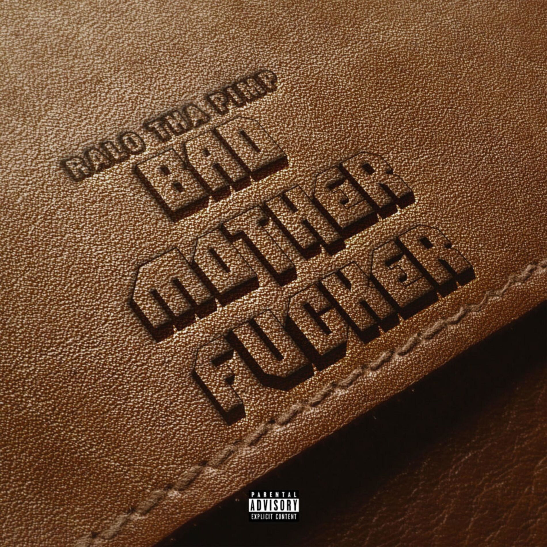 Album cover of Bad Mother Fucker