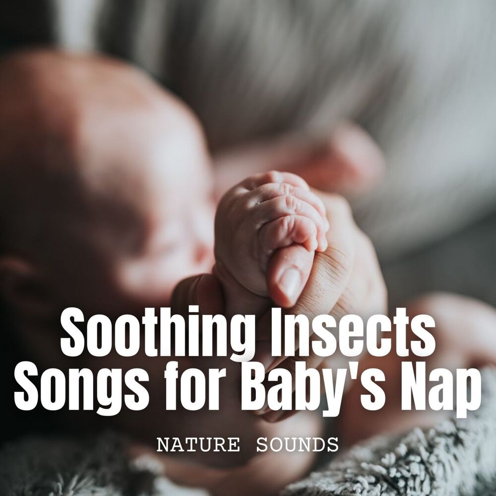 Picture of Nature Sounds: Soothing Insects Songs for Baby's Nap