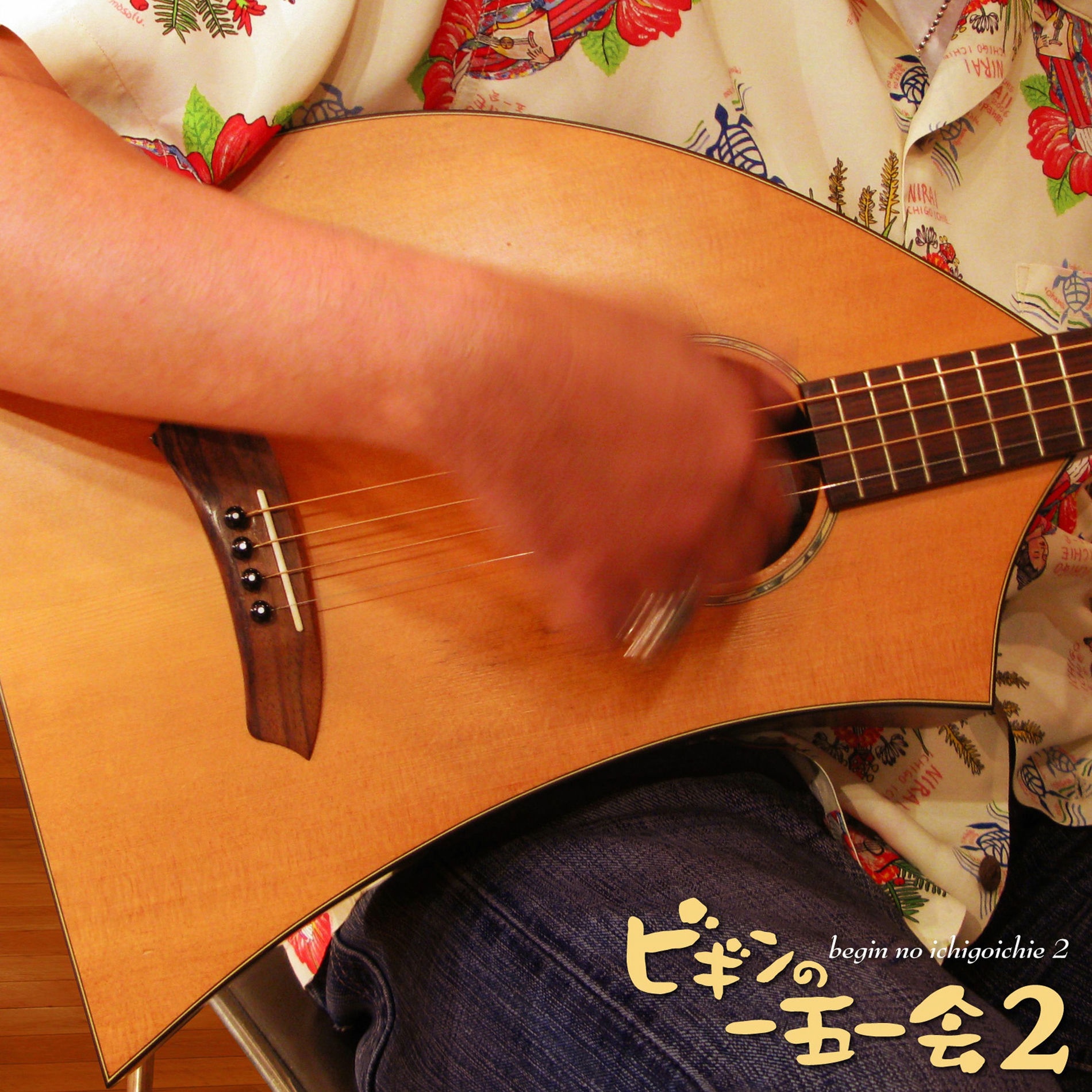 Album cover of ビギンの一五一会2