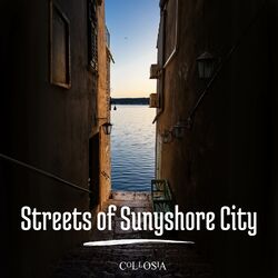 Cover of Streets of Sunyshore City