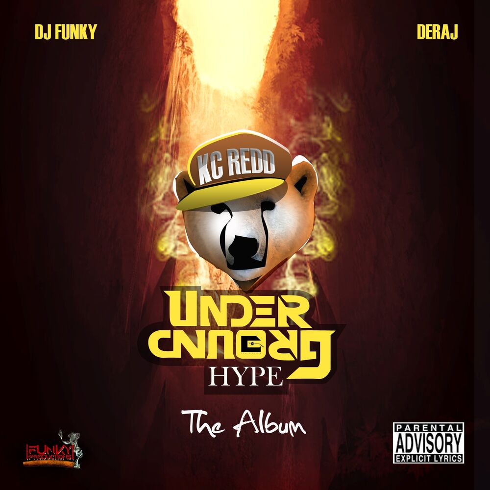 Picture of Underground Hype - The Album