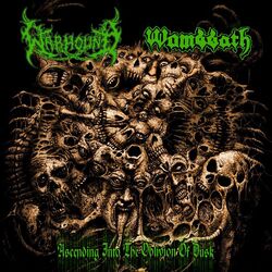 Cover of Worship Death