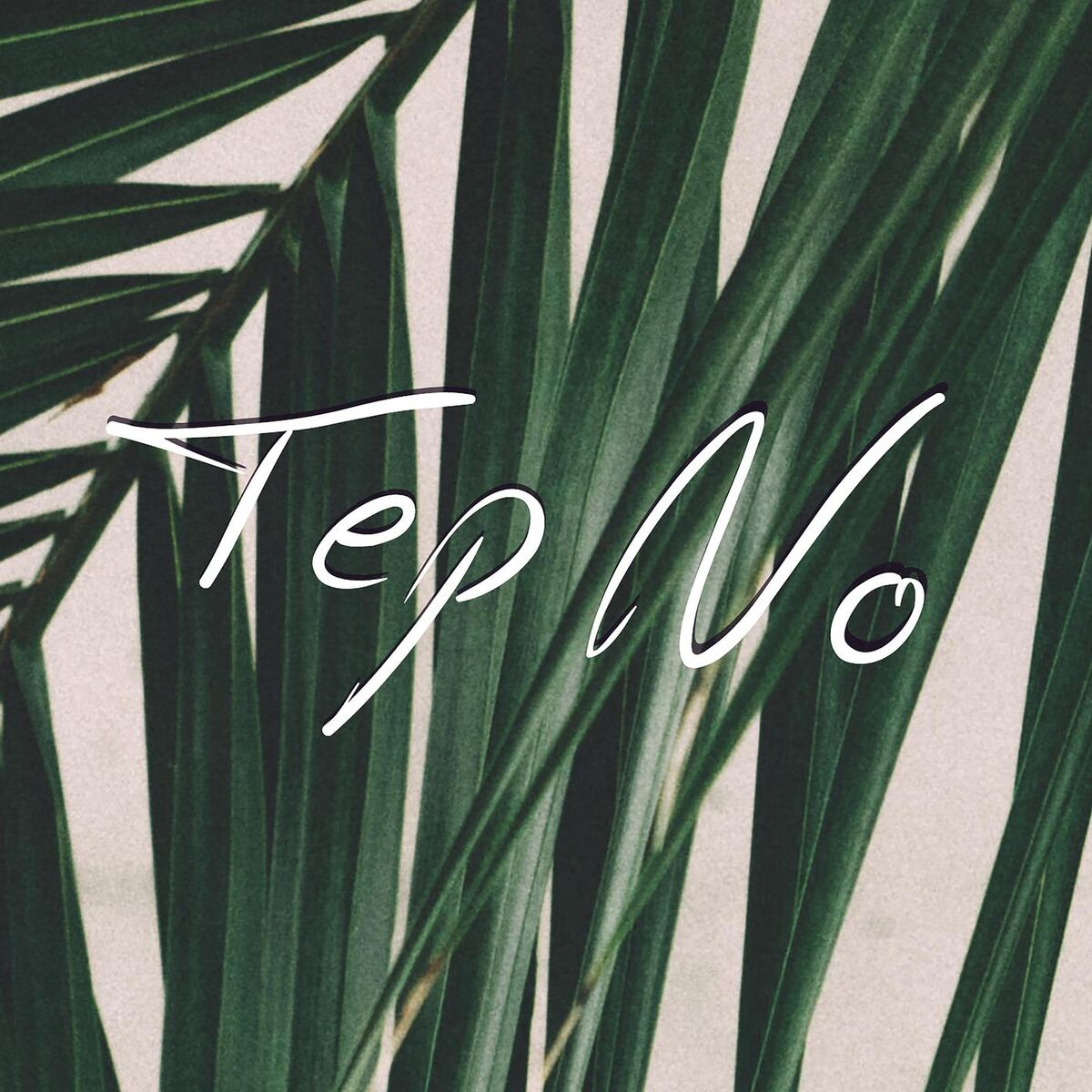 Album cover of Toluca Lake