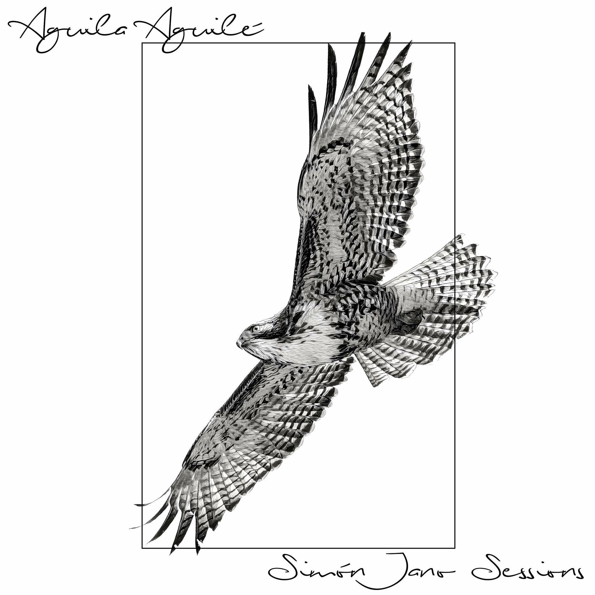 Album cover of Aguila Aguile