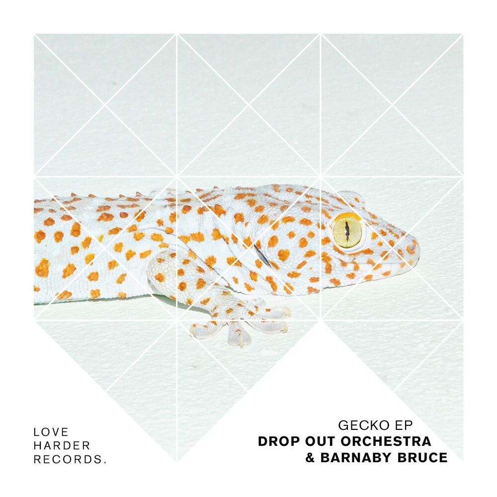 Picture of GECKO EP