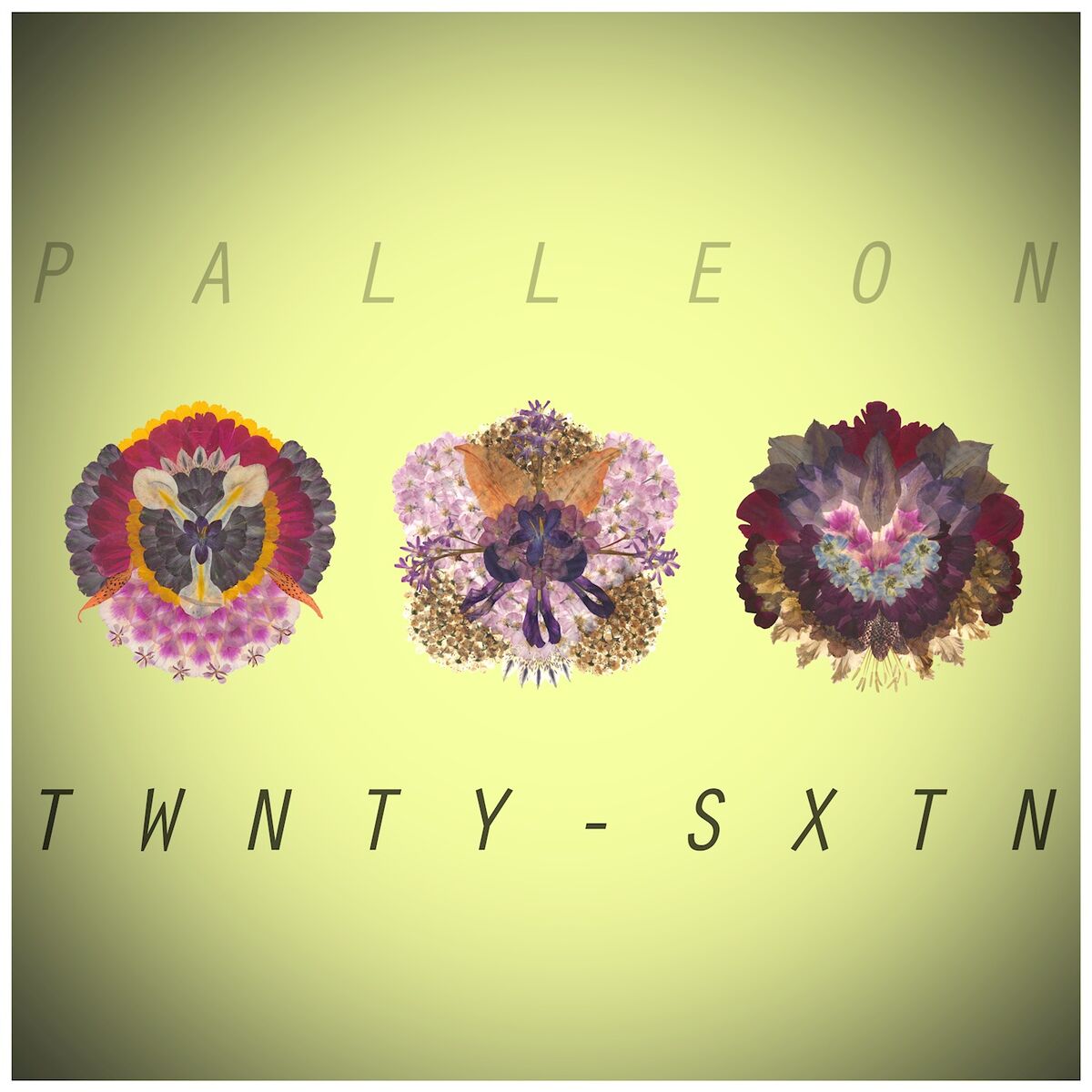 Album cover of TWNTY-SXTN
