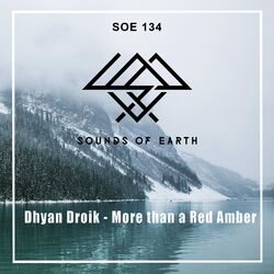 Cover of More than a Red Amber