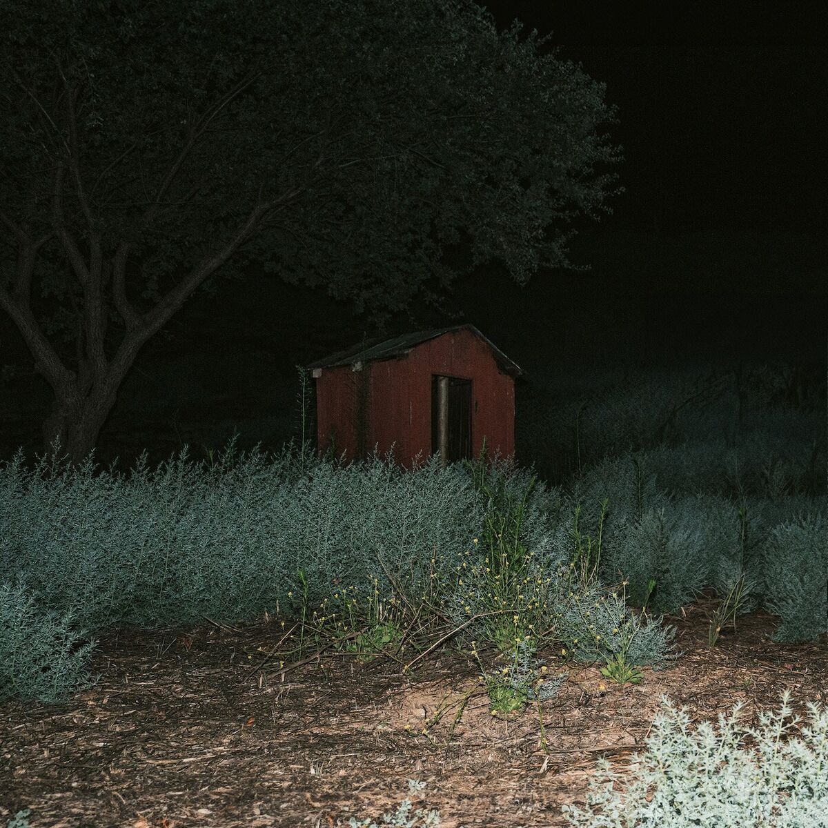 Album cover of Coming Down
