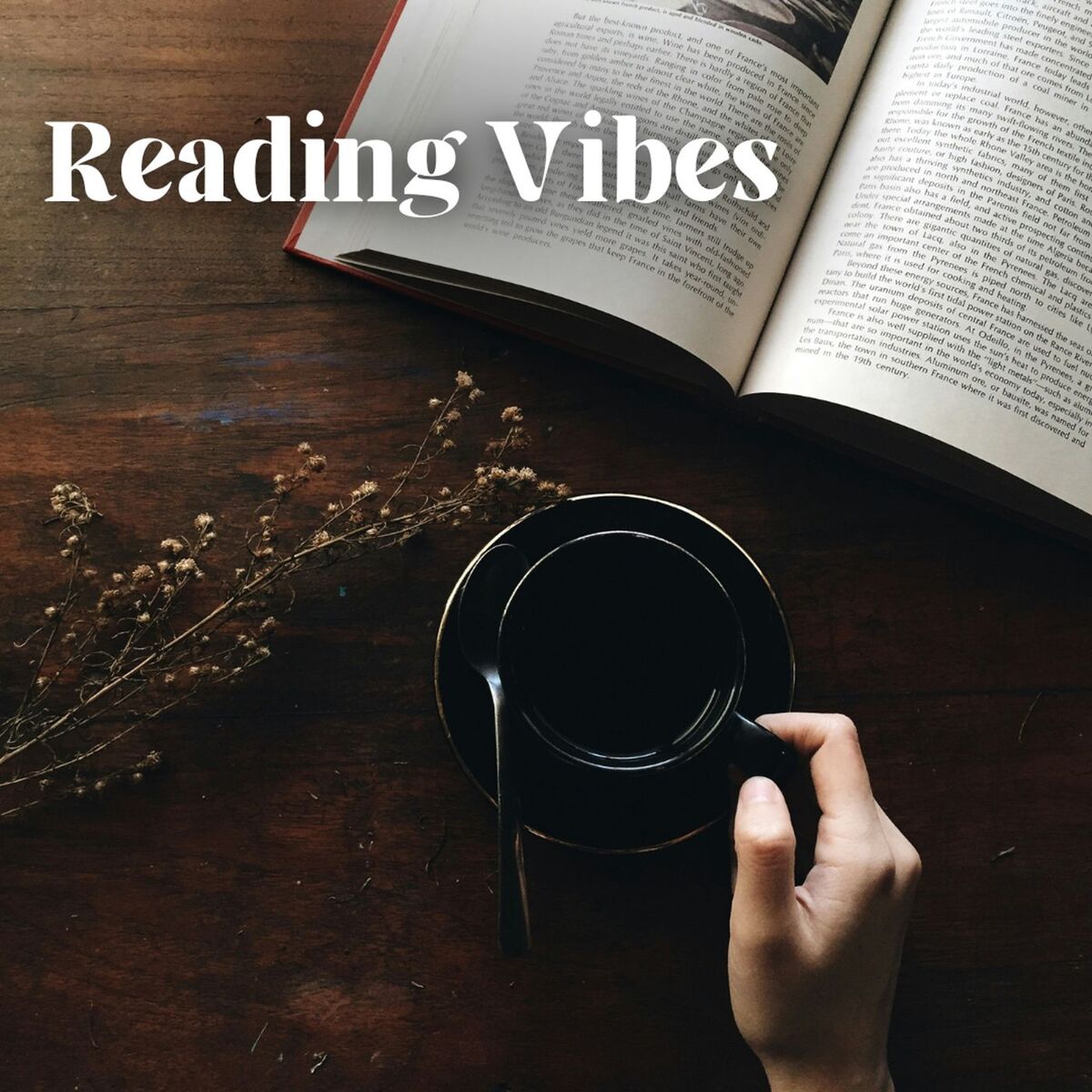 Album cover of Reading Vibes