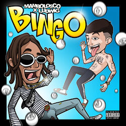 Cover of BINGO