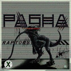 Cover of Raptors