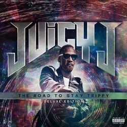Cover of The Road To Stay Trippy