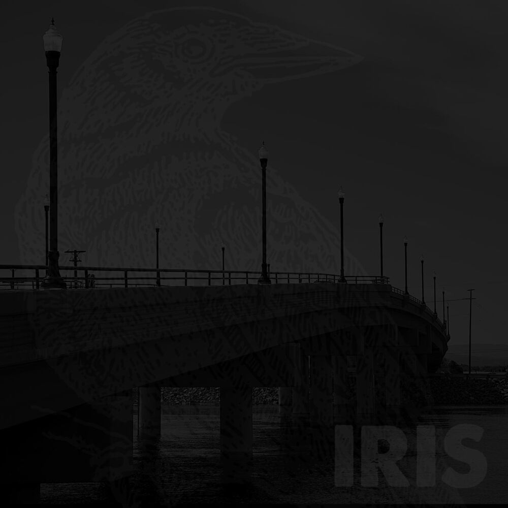 Picture of Iris