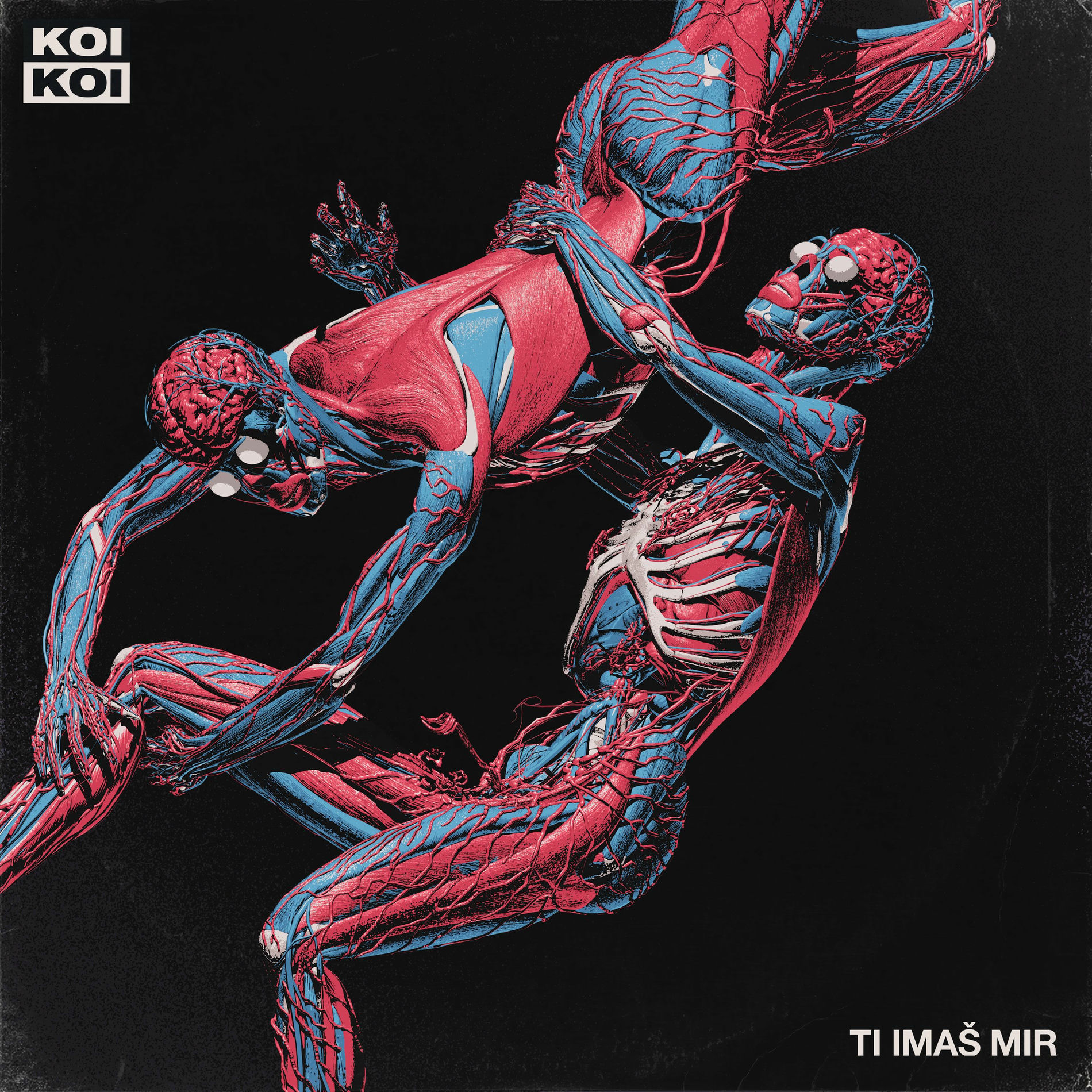 Album cover of Ti Imaš Mir
