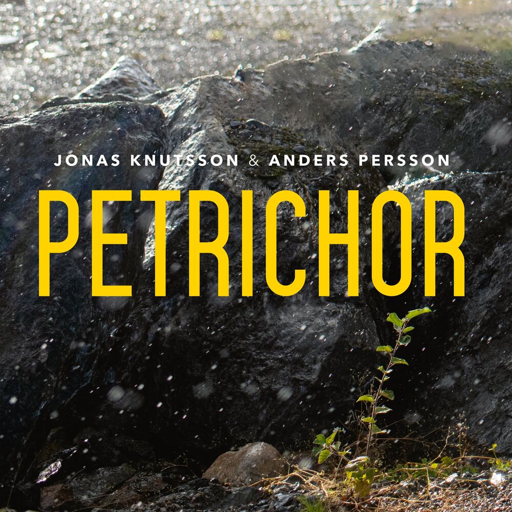 Picture of Petrichor