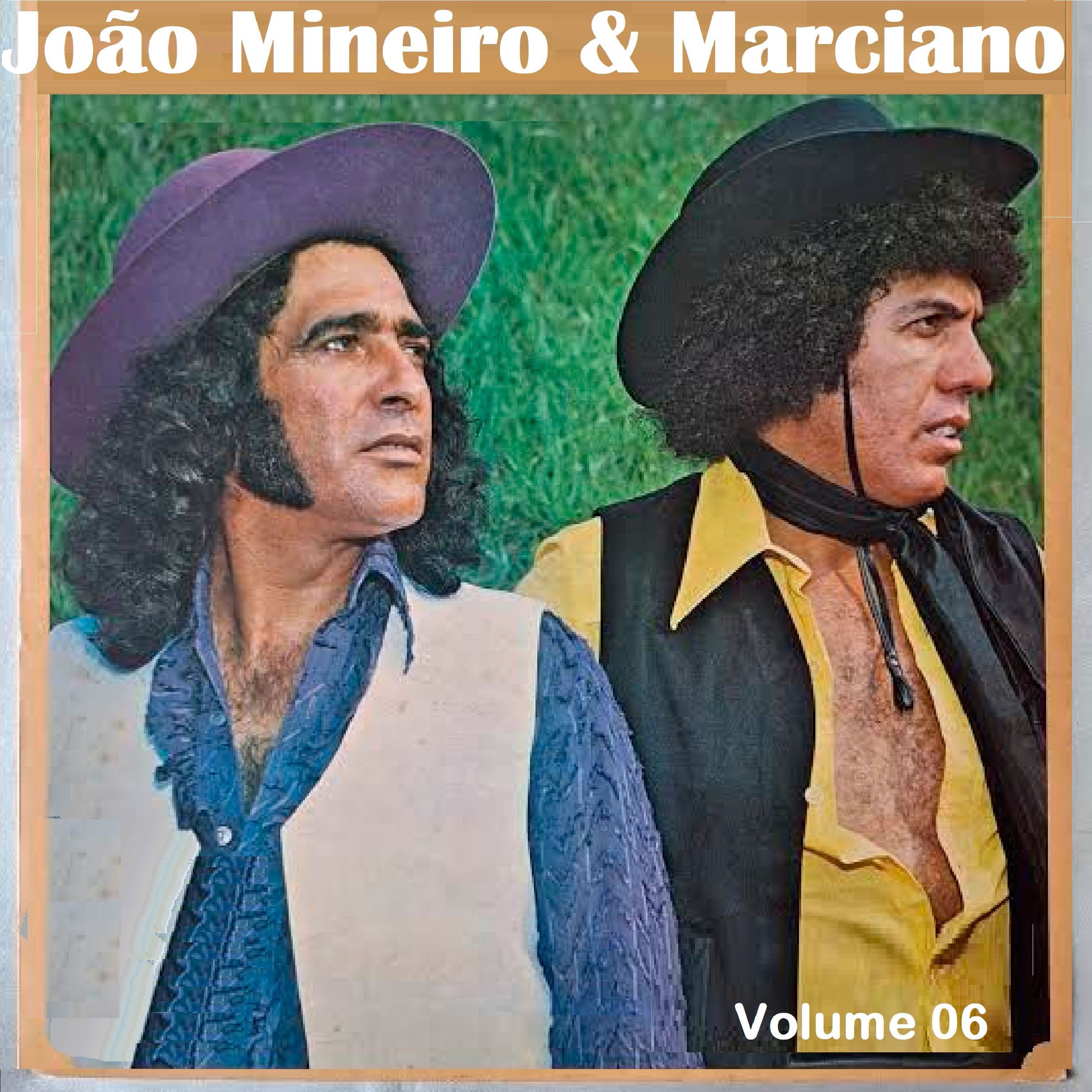 Album cover of Volume 06