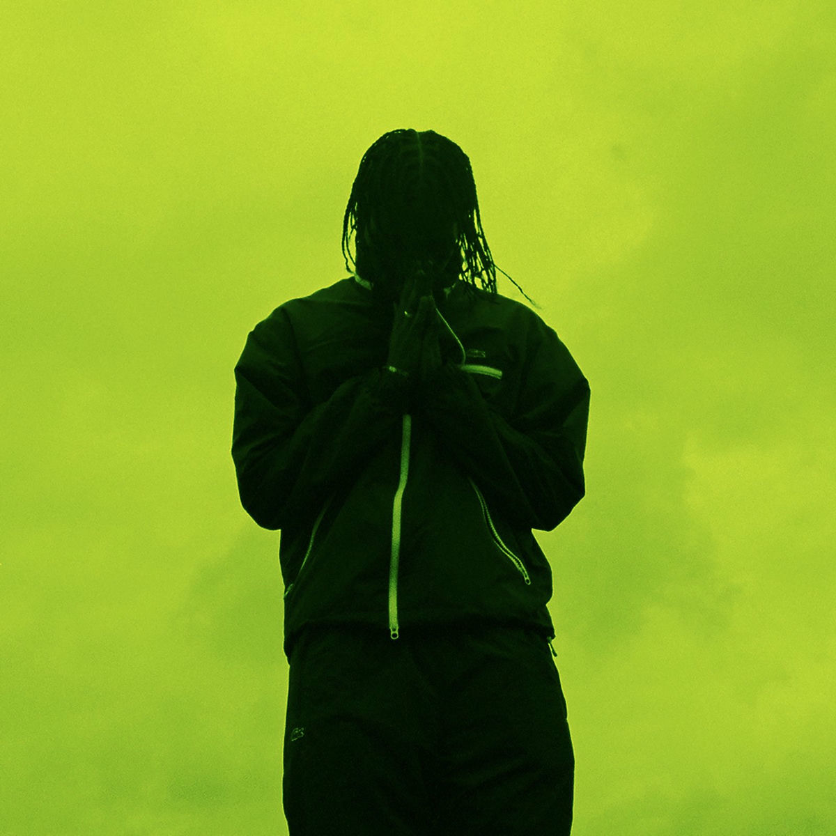 Album cover of DANS L'VISEUR