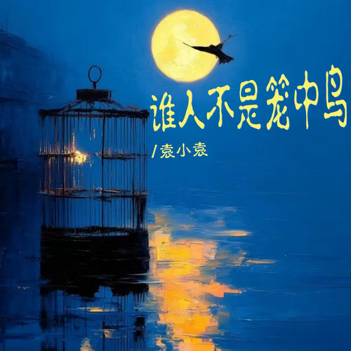 谁人不是笼中鸟