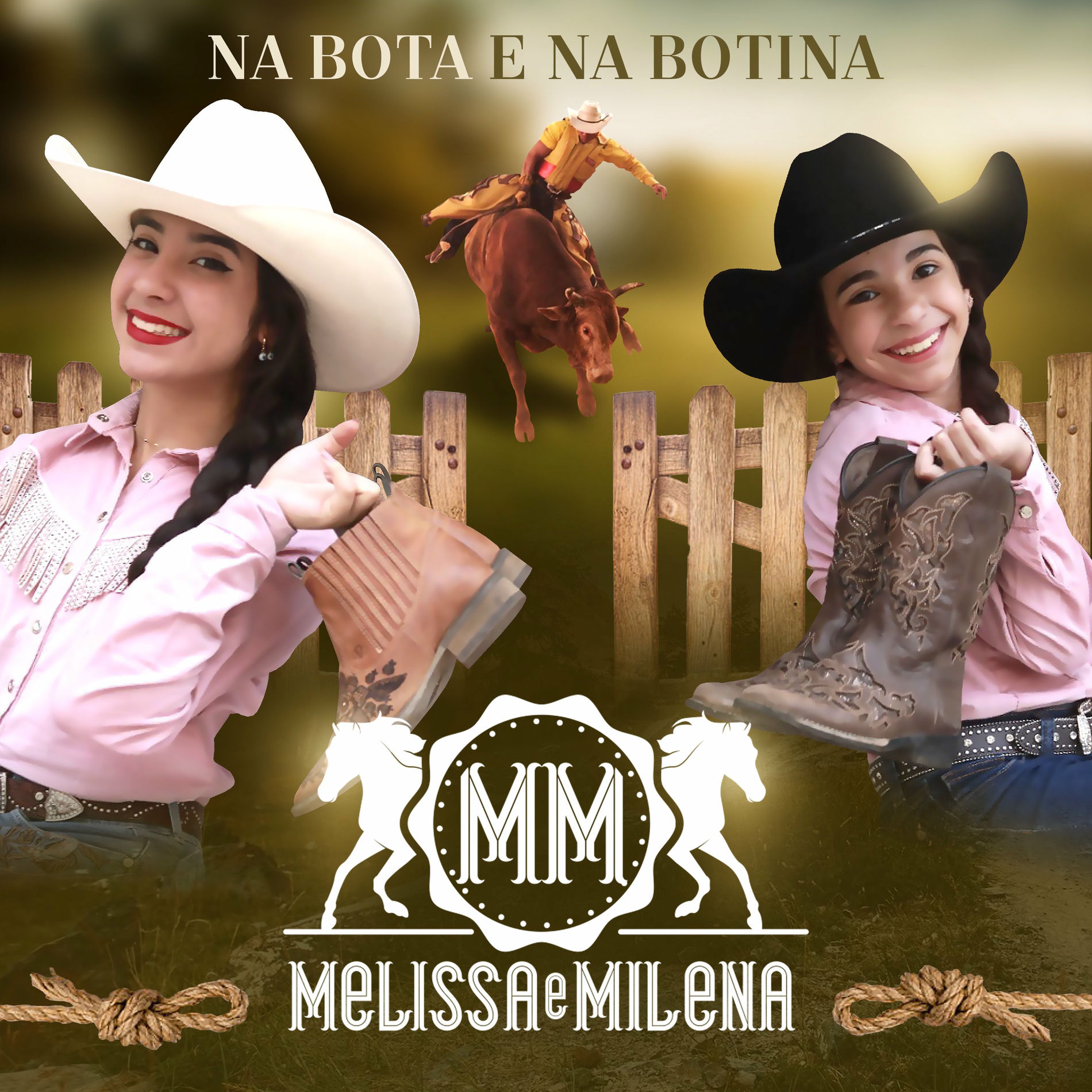 Album cover of Na Bota e na Botina