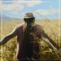 Cover of For the Hills