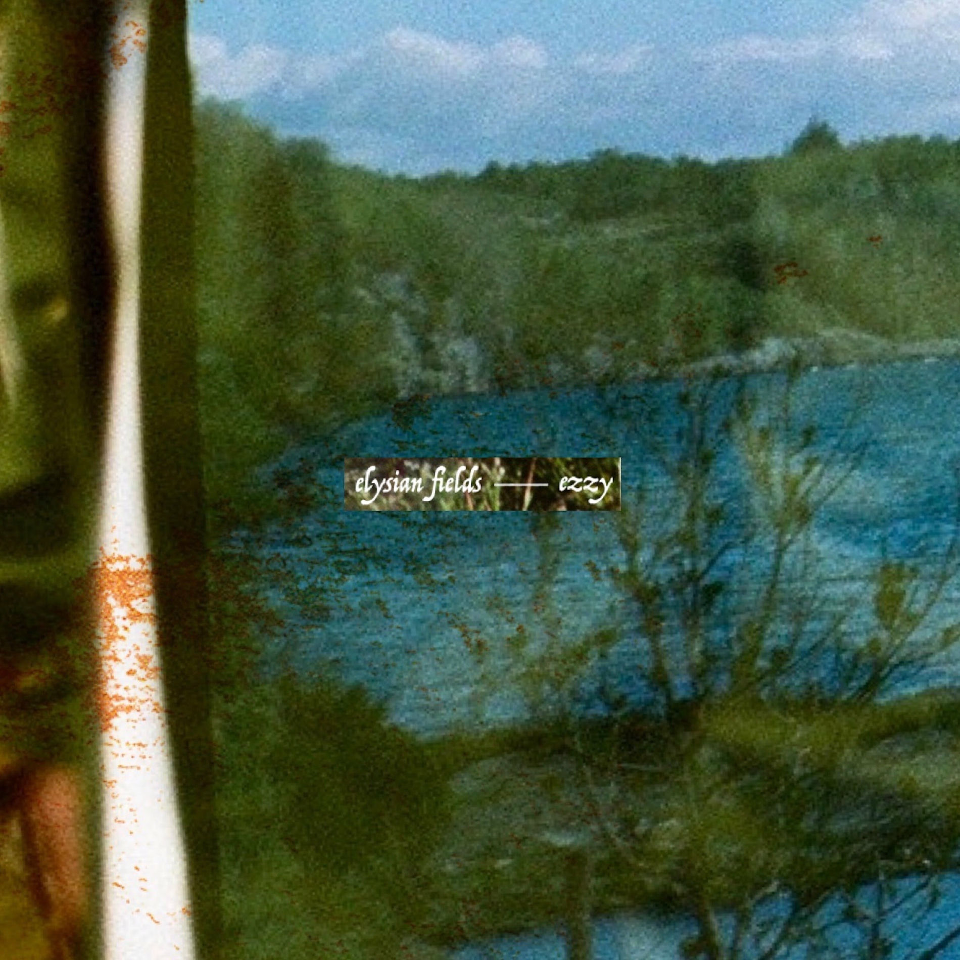 Album cover of elysian fields