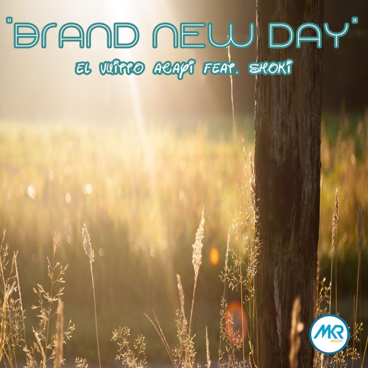 Album cover of Brand New Day