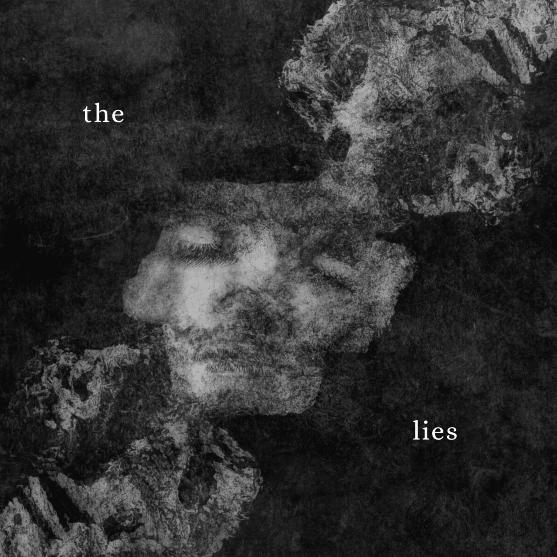 Album cover of the lies