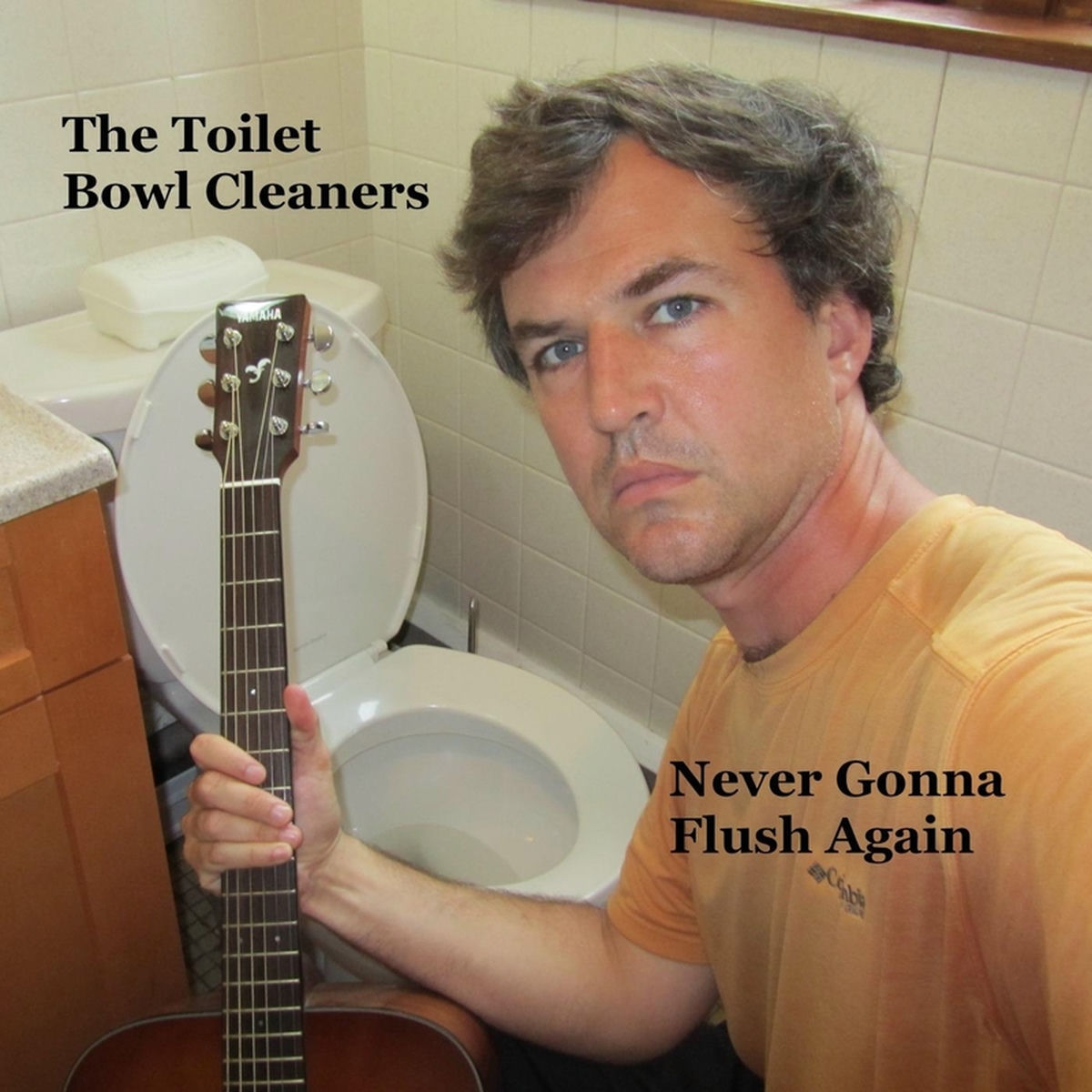 Album cover of Never Gonna Flush Again